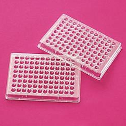 P.S & Kuyucuklu & U Plaklar